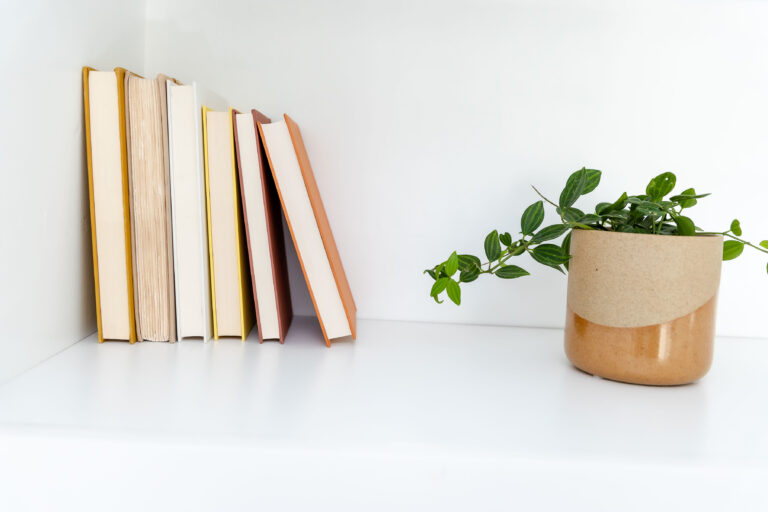 3 Must-Read Books for Content Creators